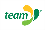 Team